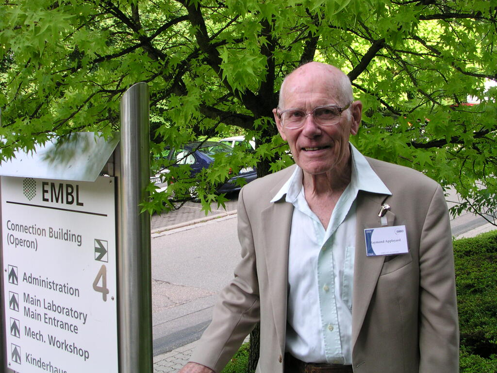 Original Digital object not accessible