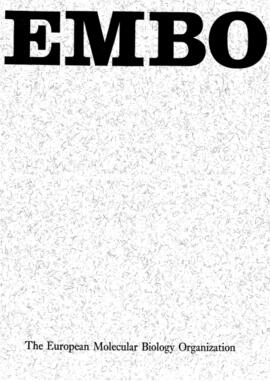 EMBO - The General Plan