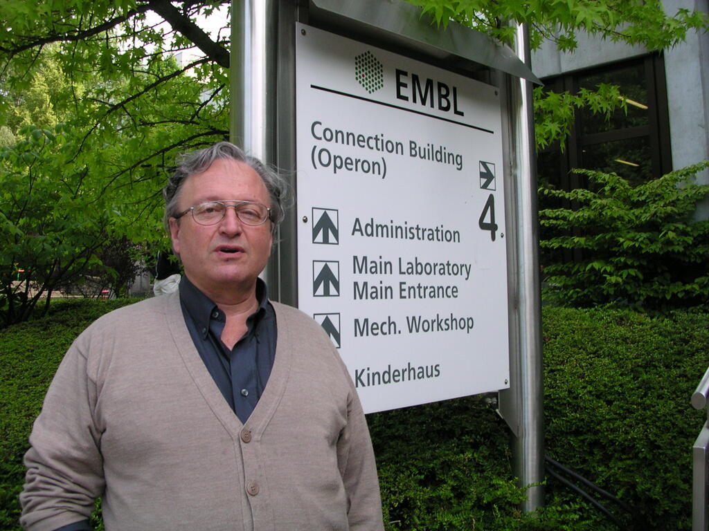 Original Digital object not accessible